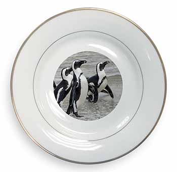 Sea Penguins Gold Rim Plate Printed Full Colour in Gift Box