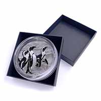 Sea Penguins Glass Paperweight in Gift Box