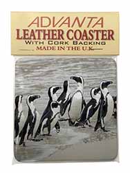 Sea Penguins Single Leather Photo Coaster