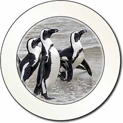 Sea Penguins Car or Van Permit Holder/Tax Disc Holder