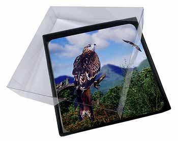 4x Red Kite Bird of Prey Picture Table Coasters Set in Gift Box