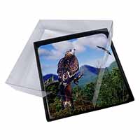 4x Red Kite Bird of Prey Picture Table Coasters Set in Gift Box