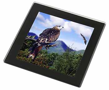 Red Kite Bird of Prey Black Rim High Quality Glass Coaster