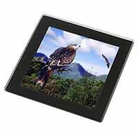 Red Kite Bird of Prey Black Rim High Quality Glass Coaster