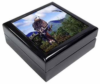 Red Kite Bird of Prey Keepsake/Jewellery Box