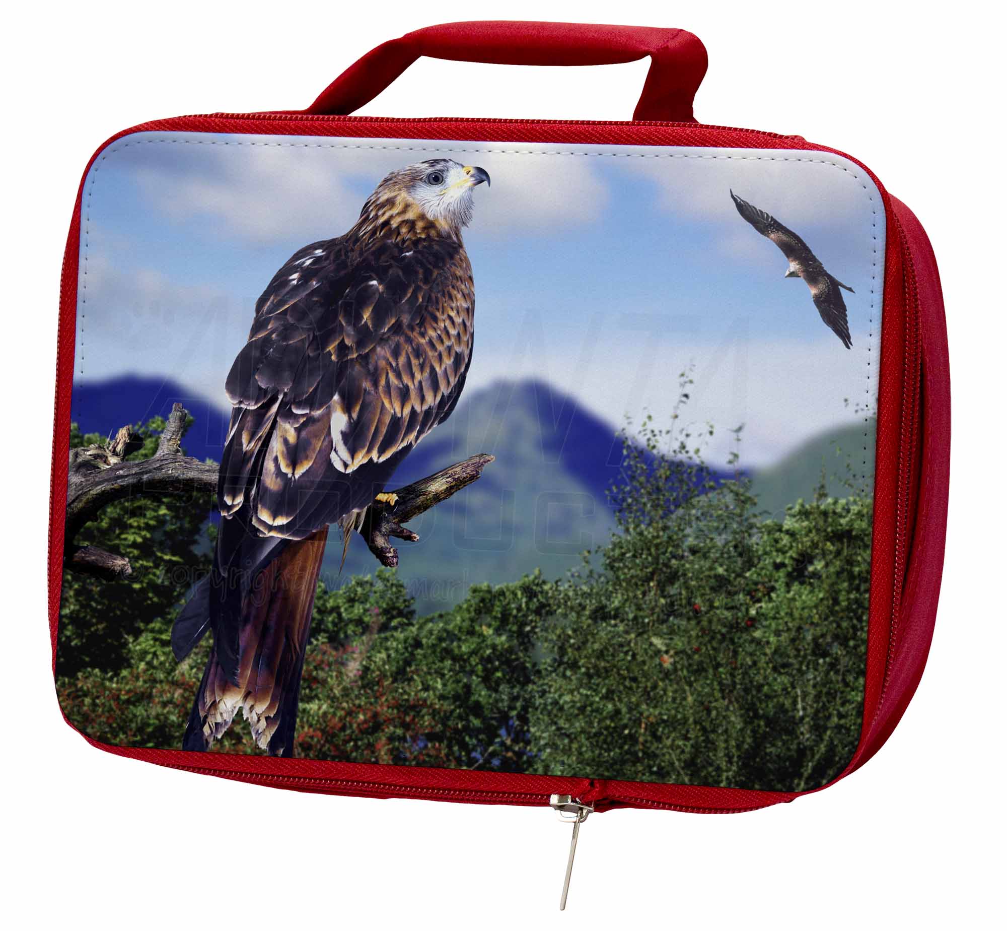 Red Kite Bird of Prey Insulated Red School Lunch Box/Picnic Bag, AB Bird Of Prey Travel Box For Sale
