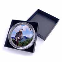 Red Kite Bird of Prey Glass Paperweight in Gift Box