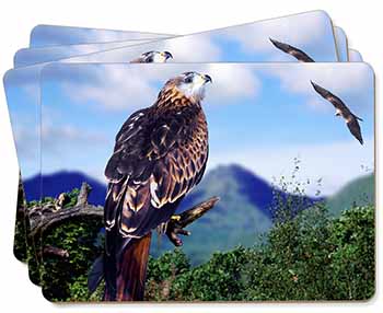 Red Kite Bird of Prey Picture Placemats in Gift Box