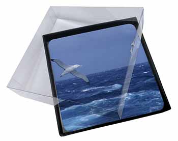 4x Sea Albatross Flying Free Picture Table Coasters Set in Gift Box