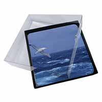 4x Sea Albatross Flying Free Picture Table Coasters Set in Gift Box - Advanta Gr