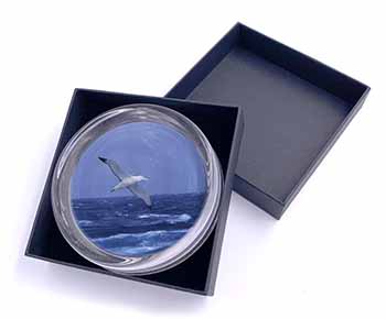 Sea Albatross Flying Free Glass Paperweight in Gift Box