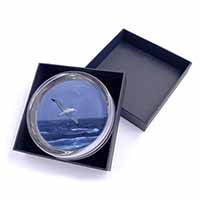 Sea Albatross Flying Free Glass Paperweight in Gift Box