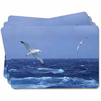 Sea Albatross Flying Free Picture Placemats in Gift Box - Advanta Group®