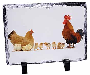 Hen, Chicks and Cockerel, Stunning Photo Slate