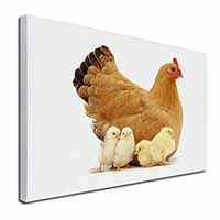 Hen with Baby Chicks Canvas X-Large 30"x20" Wall Art Print