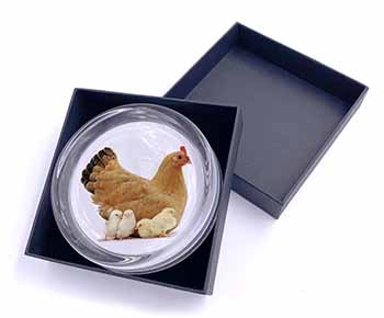 Hen with Baby Chicks Glass Paperweight in Gift Box