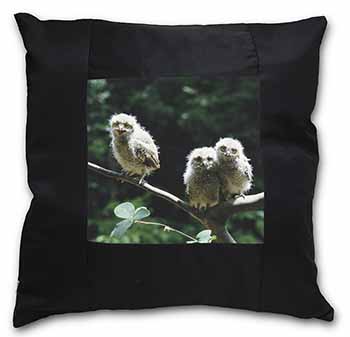 Baby Owls on Branch Black Satin Feel Scatter Cushion