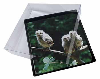 4x Baby Owls on Branch Picture Table Coasters Set in Gift Box