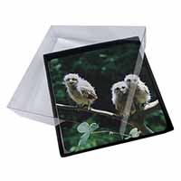 4x Baby Owls on Branch Picture Table Coasters Set in Gift Box