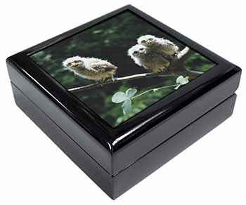 Baby Owls on Branch Keepsake/Jewellery Box