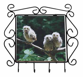 Baby Owls on Branch Wrought Iron Key Holder Hooks