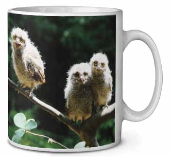 Baby Owls on Branch Ceramic Coffee Mug/Tea Cup