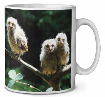 Baby Owls on Branch Ceramic 10oz Coffee Mug/Tea Cup