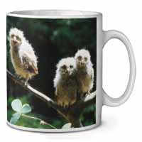 Baby Owls on Branch Ceramic 10oz Coffee Mug/Tea Cup