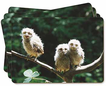 Baby Owls on Branch Picture Placemats in Gift Box