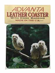 Baby Owls on Branch Single Leather Photo Coaster