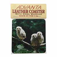 Baby Owls on Branch Single Leather Photo Coaster