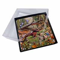 4x Forest Wildlife Animals Picture Table Coasters Set in Gift Box