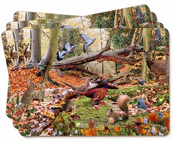Forest Wildlife Animals Picture Placemats in Gift Box