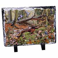 Forest Wildlife Animals, Stunning Photo Slate