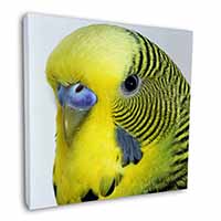 Yellow Budgerigar, Budgie Square Canvas 12"x12" Wall Art Picture Print
