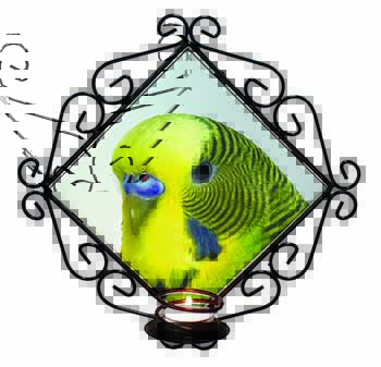 Yellow Budgerigar, Budgie Wrought Iron Wall Art Candle Holder