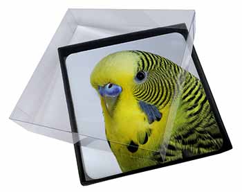 4x Yellow Budgerigar, Budgie Picture Table Coasters Set in Gift Box