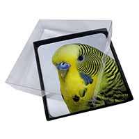 4x Yellow Budgerigar, Budgie Picture Table Coasters Set in Gift Box