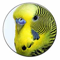 Yellow Budgerigar, Budgie Fridge Magnet Printed Full Colour