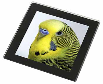 Yellow Budgerigar, Budgie Black Rim High Quality Glass Coaster
