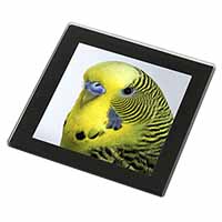 Yellow Budgerigar, Budgie Black Rim High Quality Glass Coaster