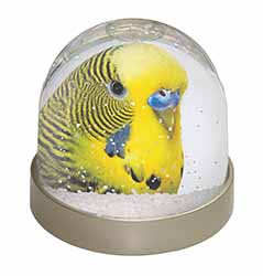 Yellow Budgerigar, Budgie Snow Globe Photo Waterball