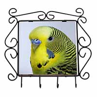 Yellow Budgerigar, Budgie Wrought Iron Key Holder Hooks