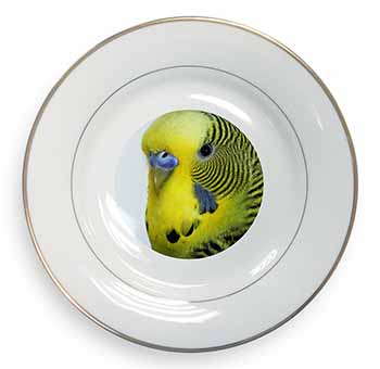 Yellow Budgerigar, Budgie Gold Rim Plate Printed Full Colour in Gift Box