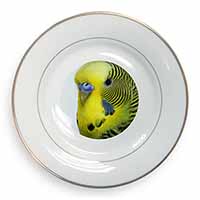 Yellow Budgerigar, Budgie Gold Rim Plate Printed Full Colour in Gift Box