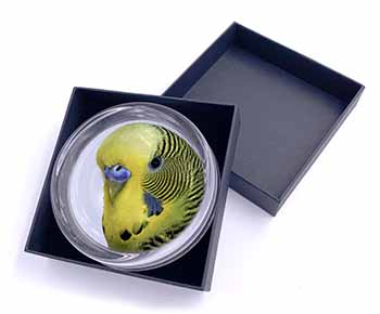 Yellow Budgerigar, Budgie Glass Paperweight in Gift Box