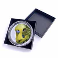 Yellow Budgerigar, Budgie Glass Paperweight in Gift Box