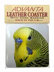 Yellow Budgerigar, Budgie Single Leather Photo Coaster