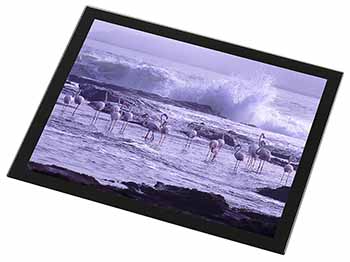 Pink Flamingo on Sea Shore Black Rim High Quality Glass Placemat