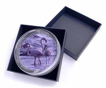 Pink Flamingo on Sea Shore Glass Paperweight in Gift Box